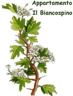 Appartamento Il Biancospino