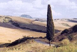 Strada di Val d'Orcia