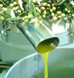 Il nostro olio extra vergine di oliva