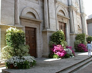 Pioenza e i fiori